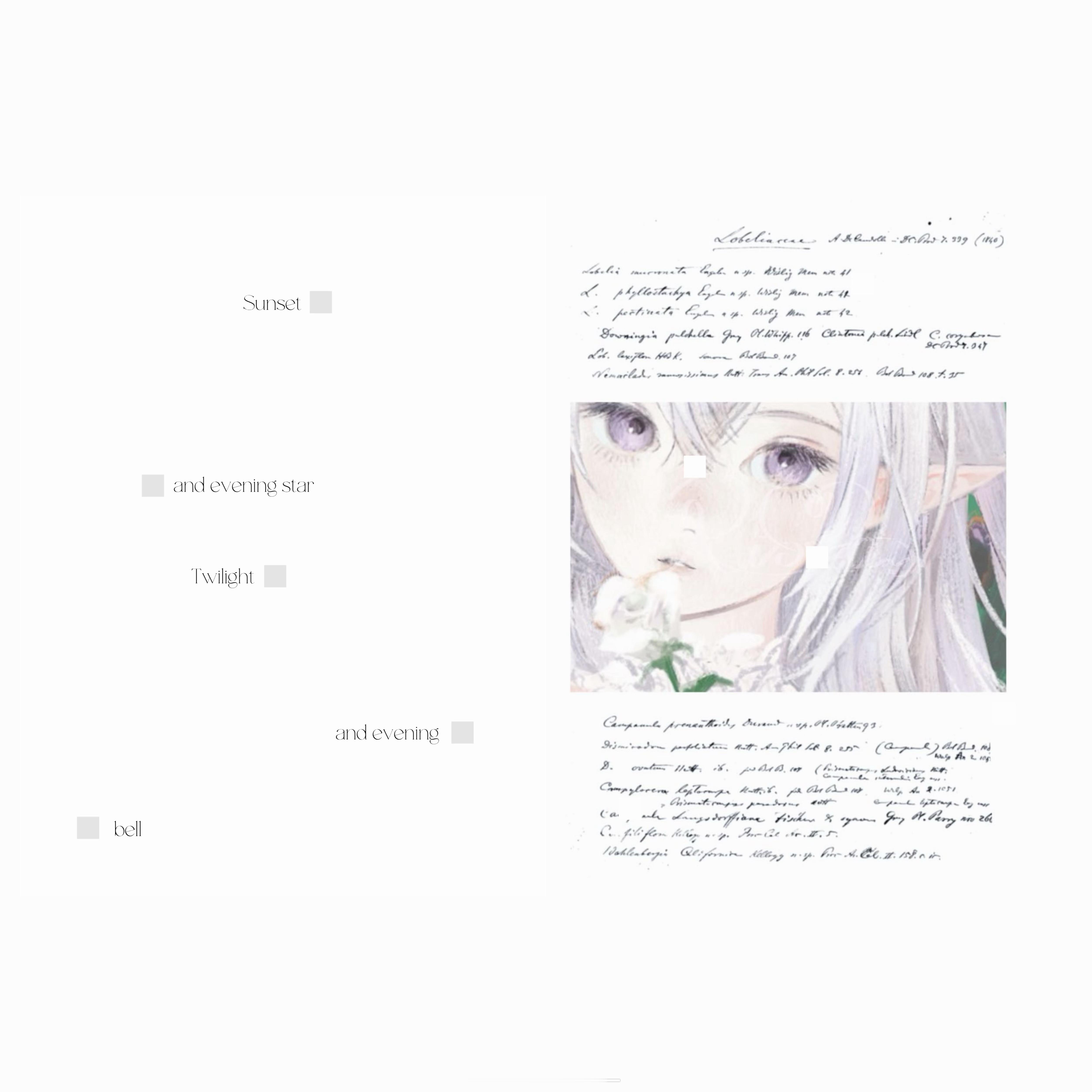 — ⟡陽だまりの果て⟡—┈┈┈┈┈┈┈┈┈┈┈┈┈┈┈┈┈┈┈┈途中过程展示，并