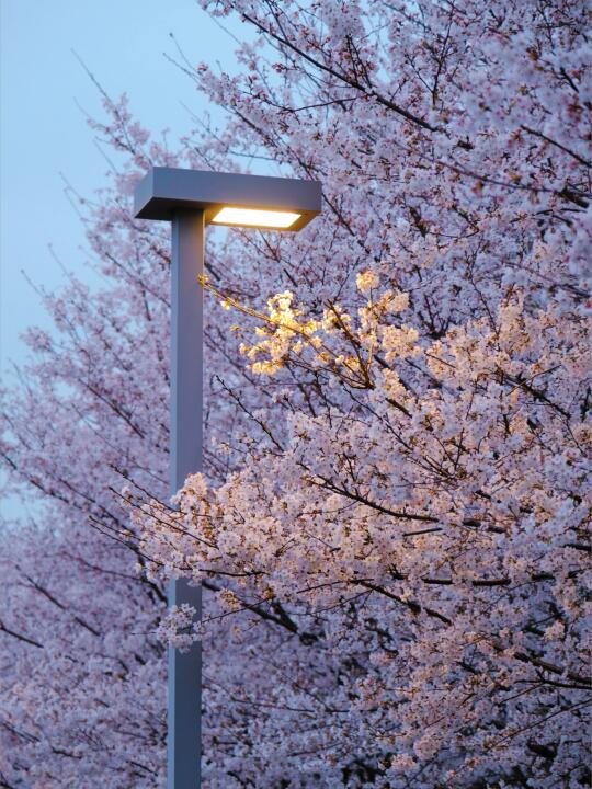 接下来的杭州，是万万次的春和景明