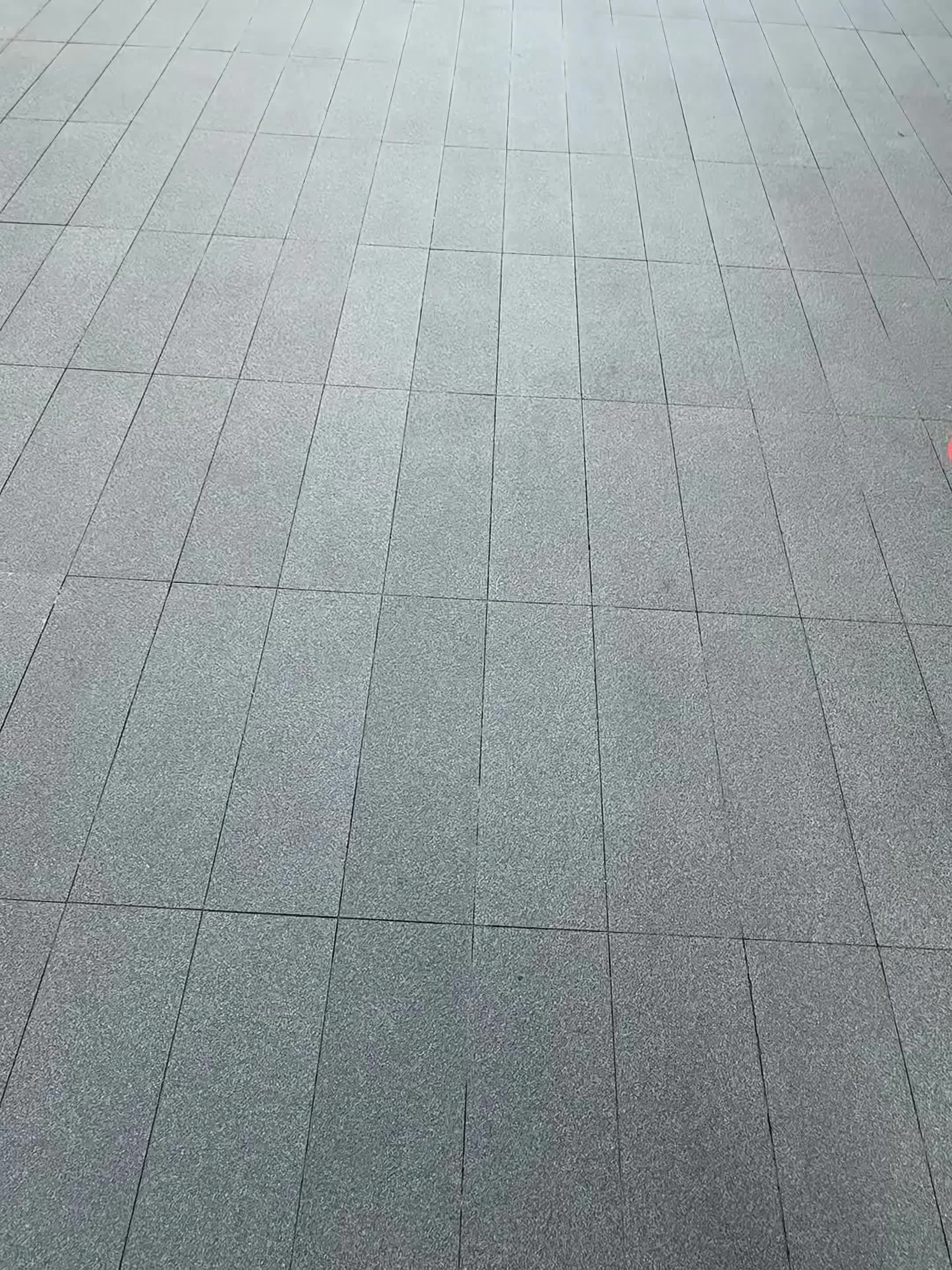 尼克狐尼克 尼克狐尼克你被逮捕了