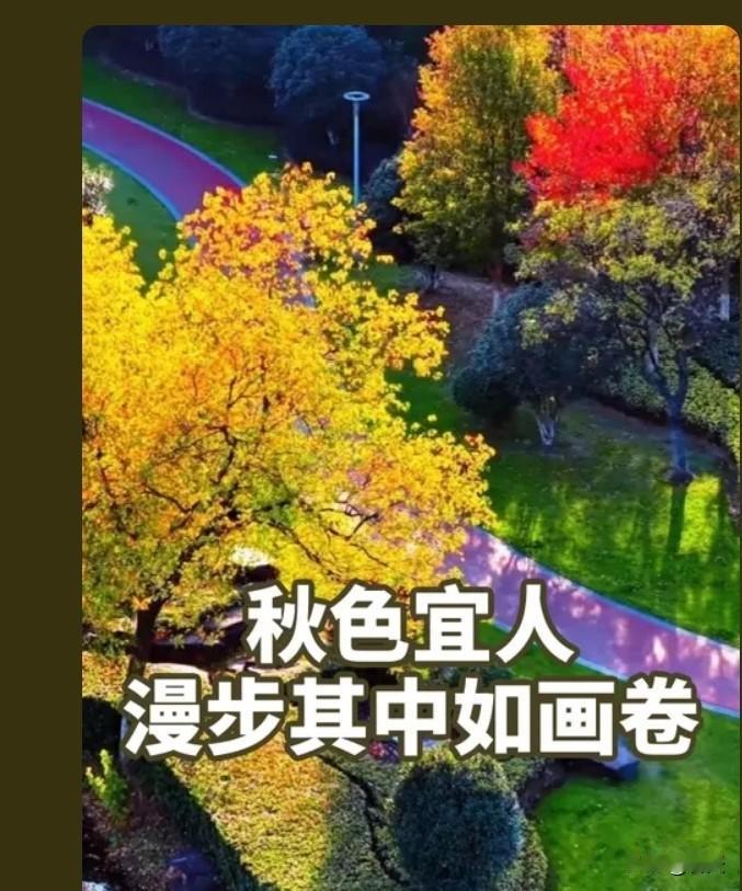 徐馆长夫妇被带走 实名举报后2天有进展
 
12月23日中午12点左右，备受关注