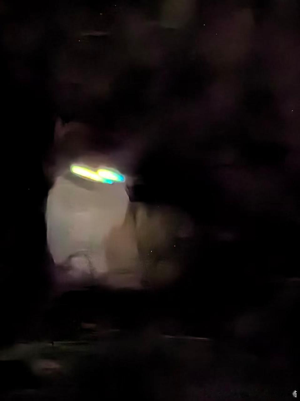 49395【丑猫】在学校里开电瓶车
