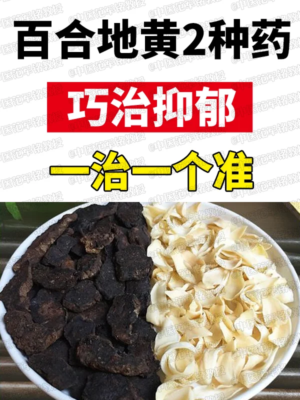 百合地黄2种药，巧治抑郁