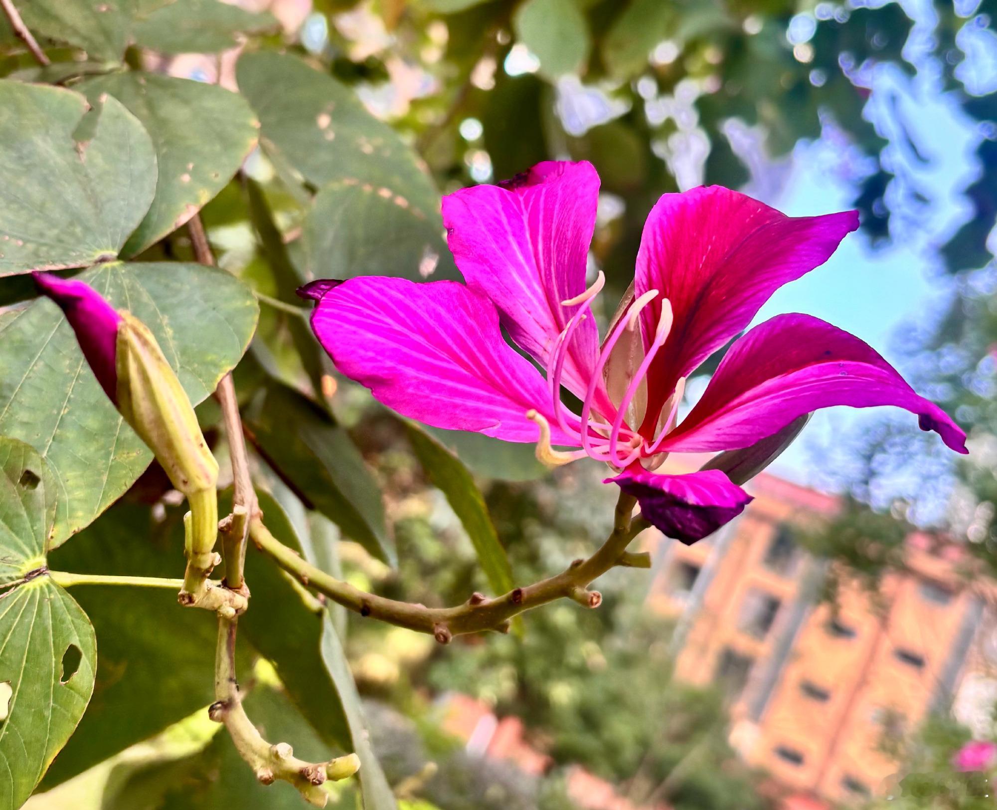 一开始就把“生理性喜欢”当真爱的关系，往往收场都很难看很多人迷恋那种心跳加速、控