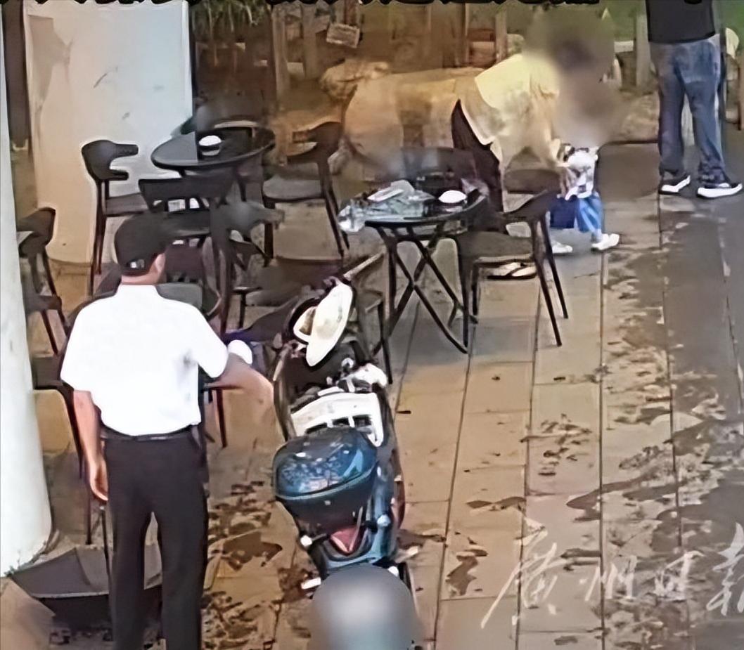 这件事最诡异的地方，就是那个“受委屈”的宝妈从事情在网上发酵开始，就从来没有公开