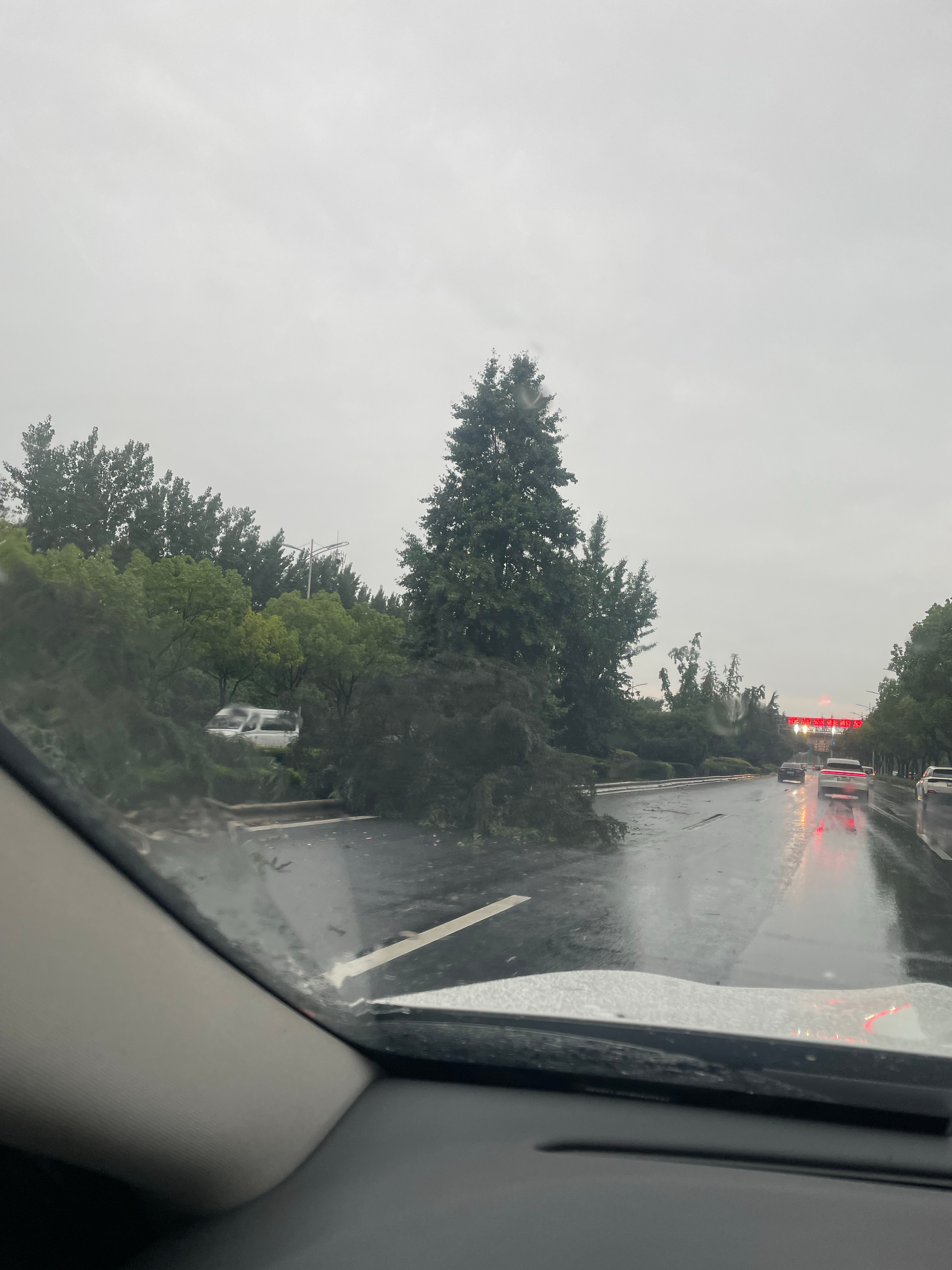 牛马到单位天塌了 单位全部被淹了躲过台风 没躲过昨天的暴雨 