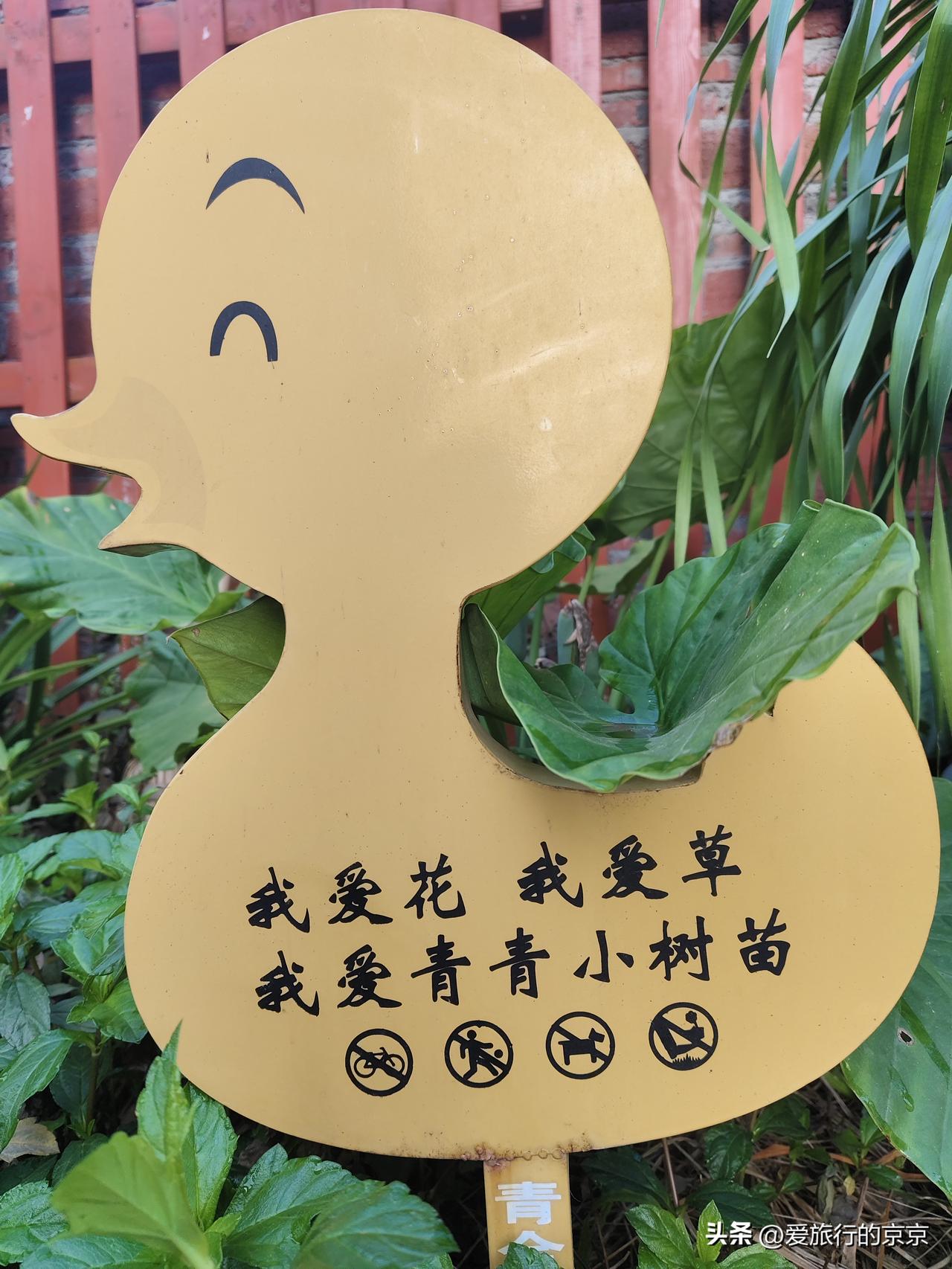 春日生活打卡季入心入眼希望大家都入脑，共同打造美好家园