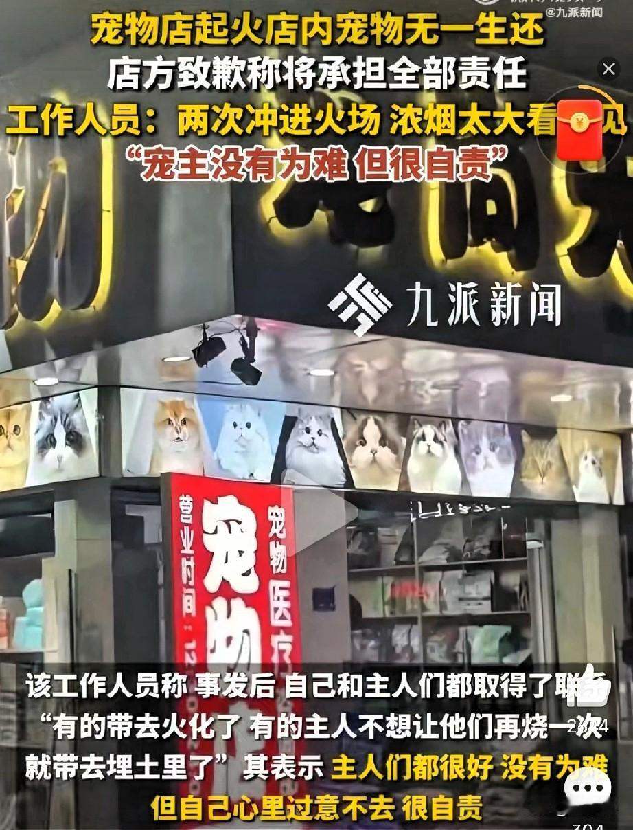 太心疼了，当时它们有多绝望啊！广东普宁一家宠物店发生火灾，店里的宠物没有一个活下