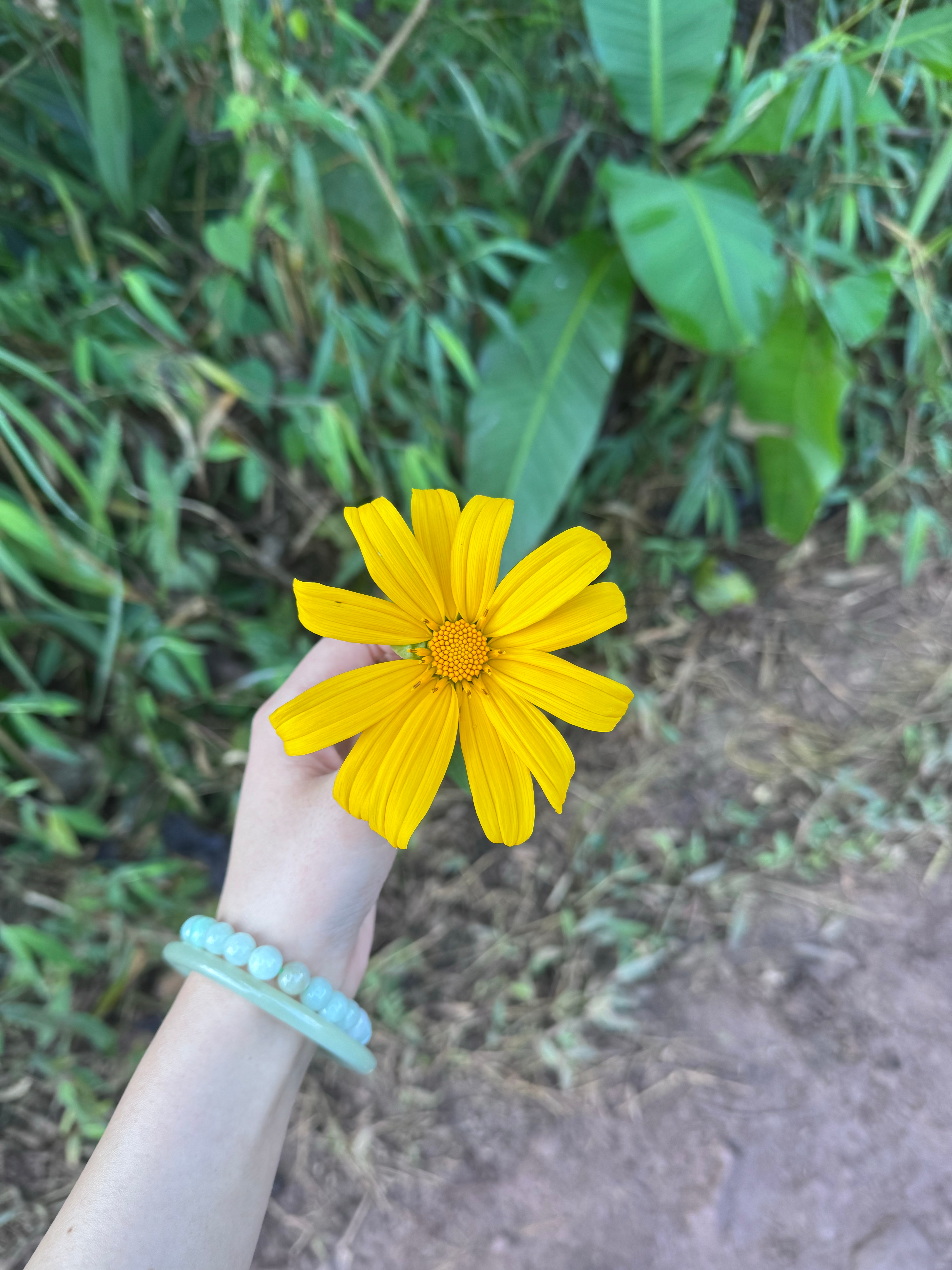 你可以短暂的软弱一下，然后又继续勇敢地过自己自由而又独立的人生 