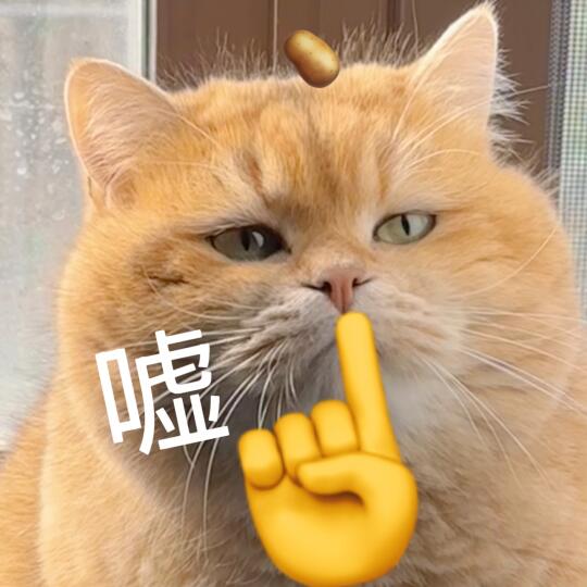 嘘 不要说话 ！ 🥔猫猫表情包