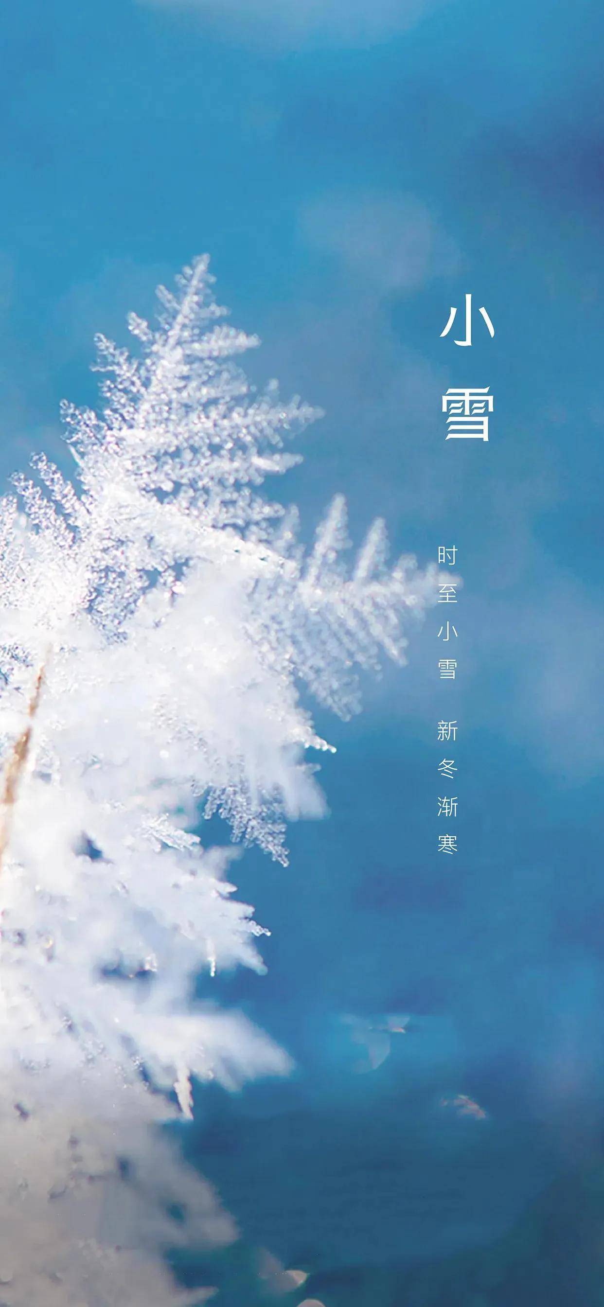 小雪

南方的旷野里
阳光的味道很浓
像老张正午的酒
让人似醉非醉
我不知道这个