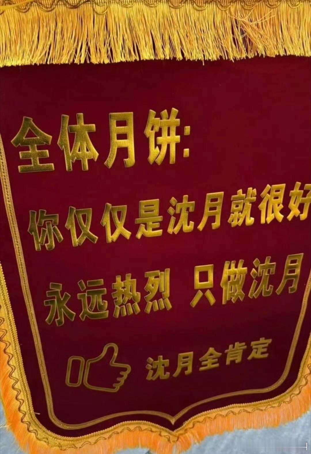 全体月饼（粉丝）给沈月送了“只是沈月奖” 