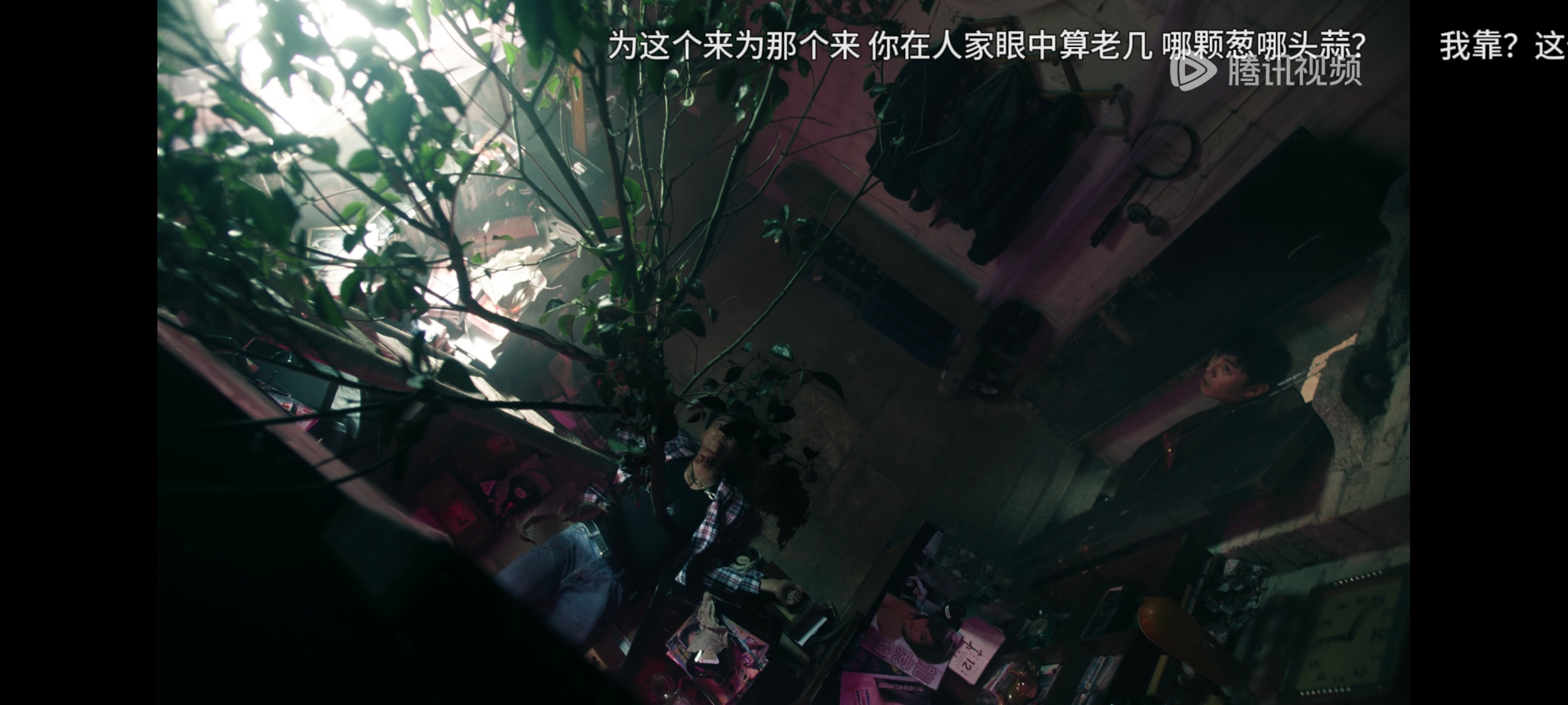 不儿，张呈你怎么第一集就杀青了，我真不行了。 