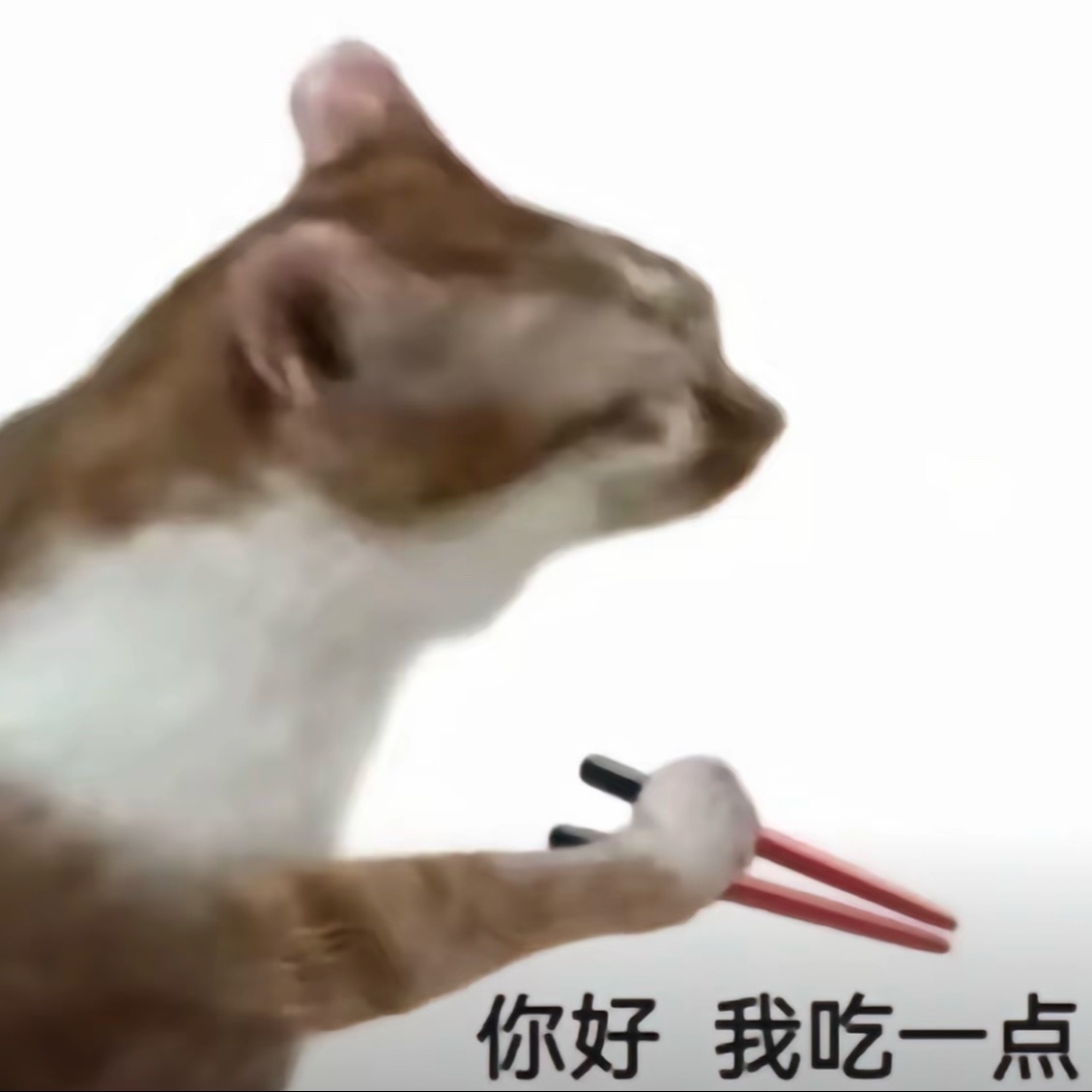 当穿越回去寻找小曼昱发现她在摆摊时我be like： 