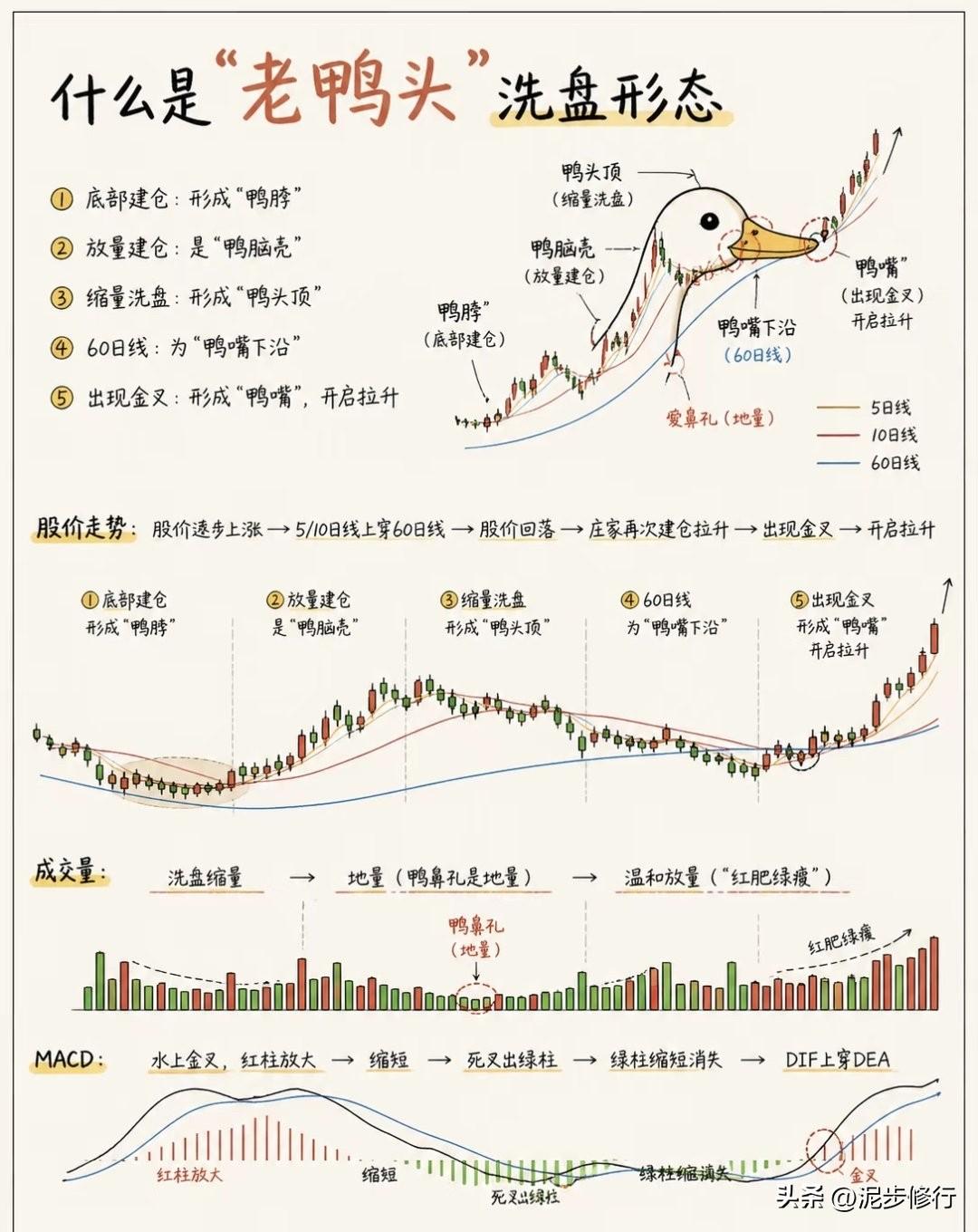 股市里经典的老鸭头形态，其实就是主力最标准的「建仓—洗盘—拉升」全过程。

看懂