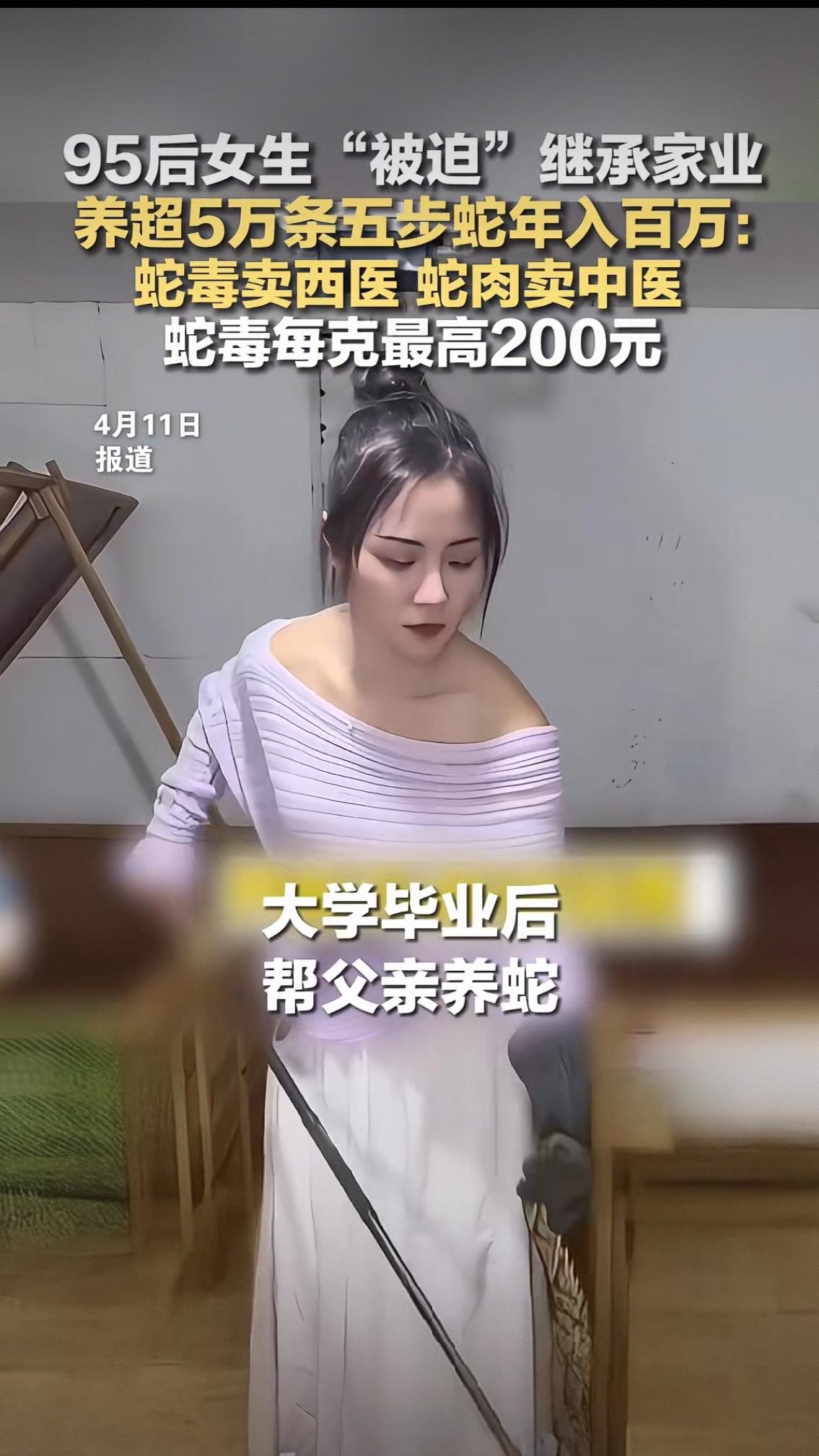 95后女生"被迫"继承家业养超5万条五步蛇年入百万：蛇毒卖西医蛇肉卖中医蛇毒每克