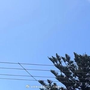 早安心语 新的一天，愿你像晨光一样温柔而充满力量。🌞清晨的第一缕阳光，是昨日疲