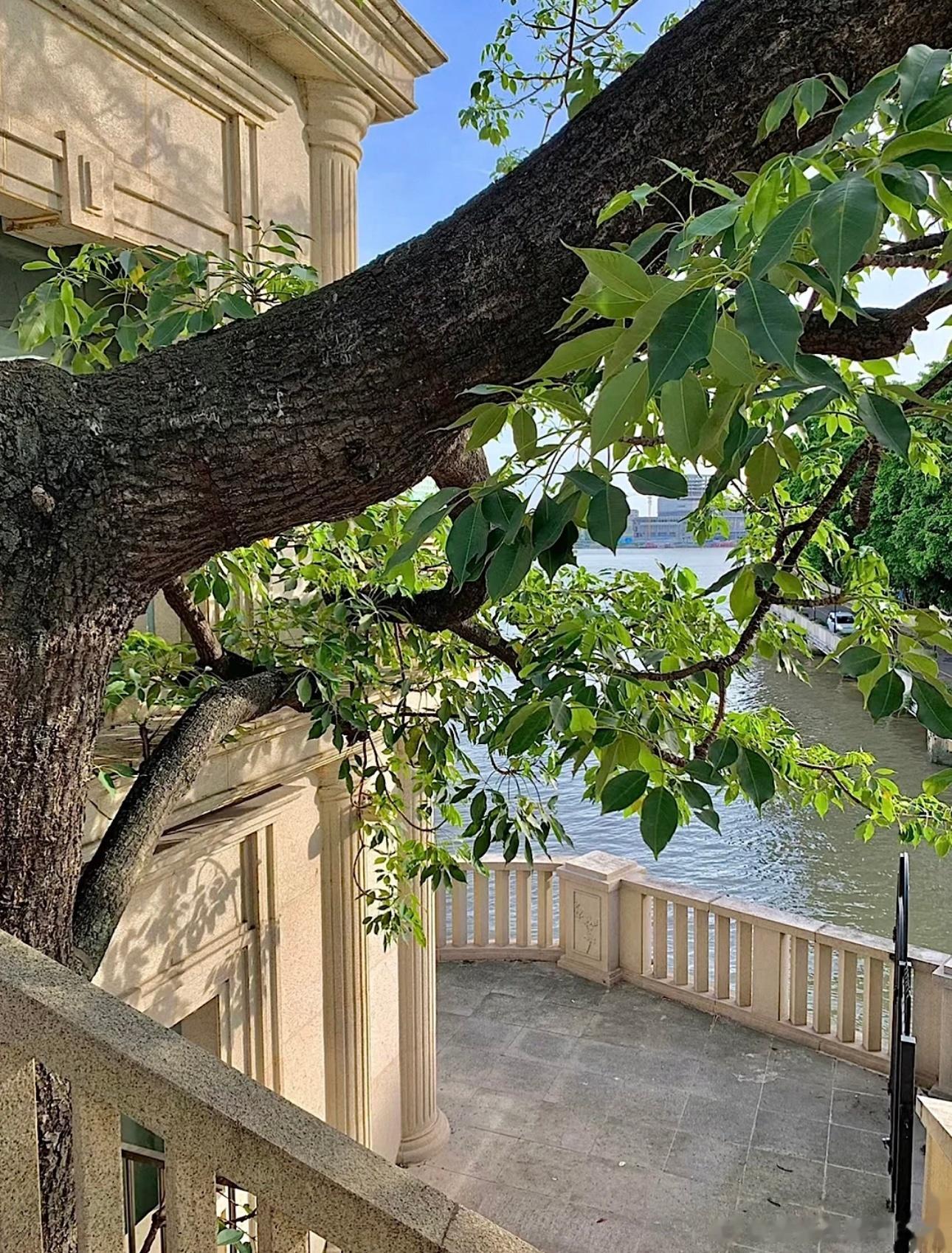 远离皮质醇，享受多巴胺，追逐内啡肽  ​​​