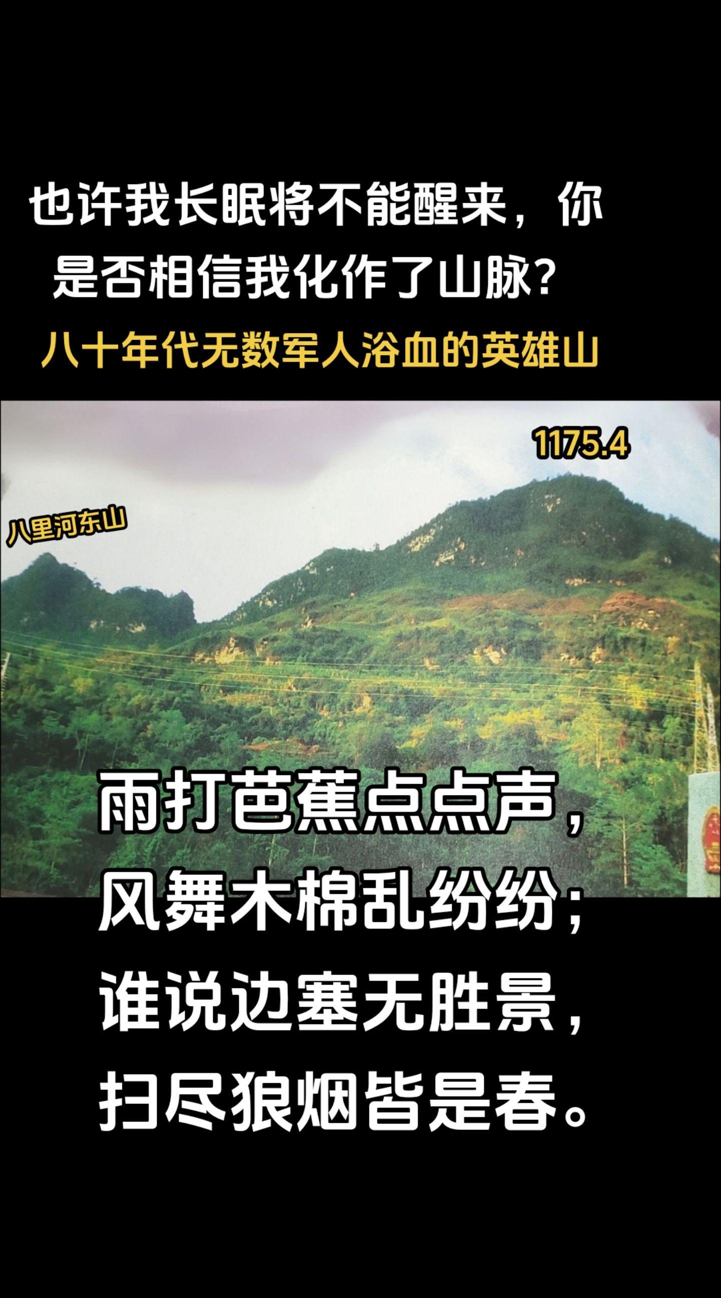 八里河东山在20世纪80年代的边境冲突中，以战斗环境艰苦、复杂而著称...