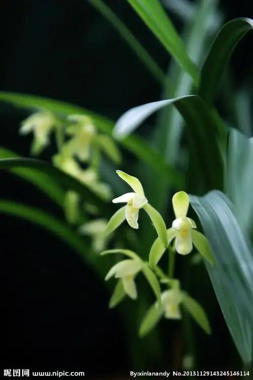 下联：岁月如梭总关情。