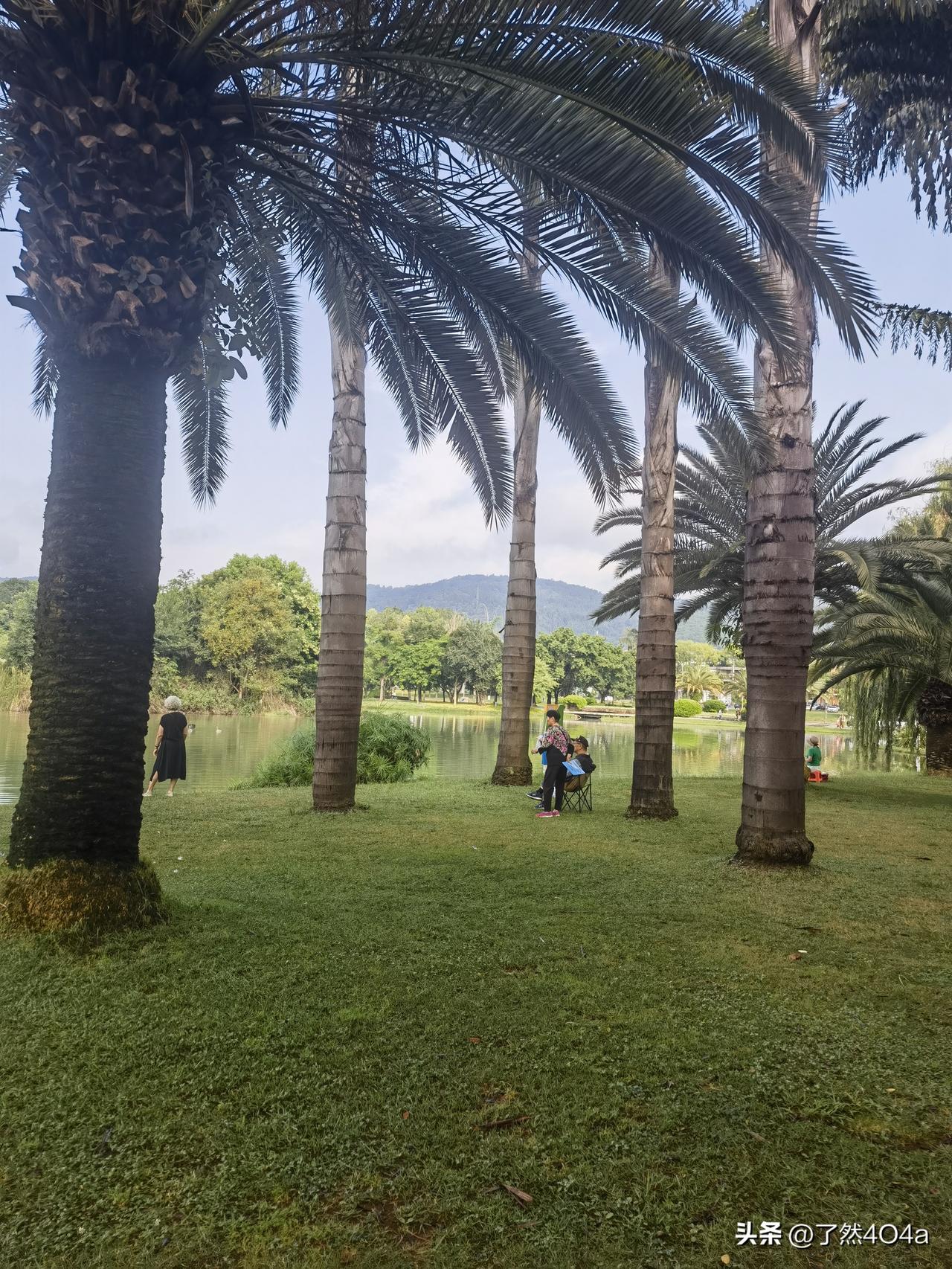 晒图笔记大赛当热浪扑面而来，请记得：你比这阳光更耀眼，你心中的宁静比任何树荫都更