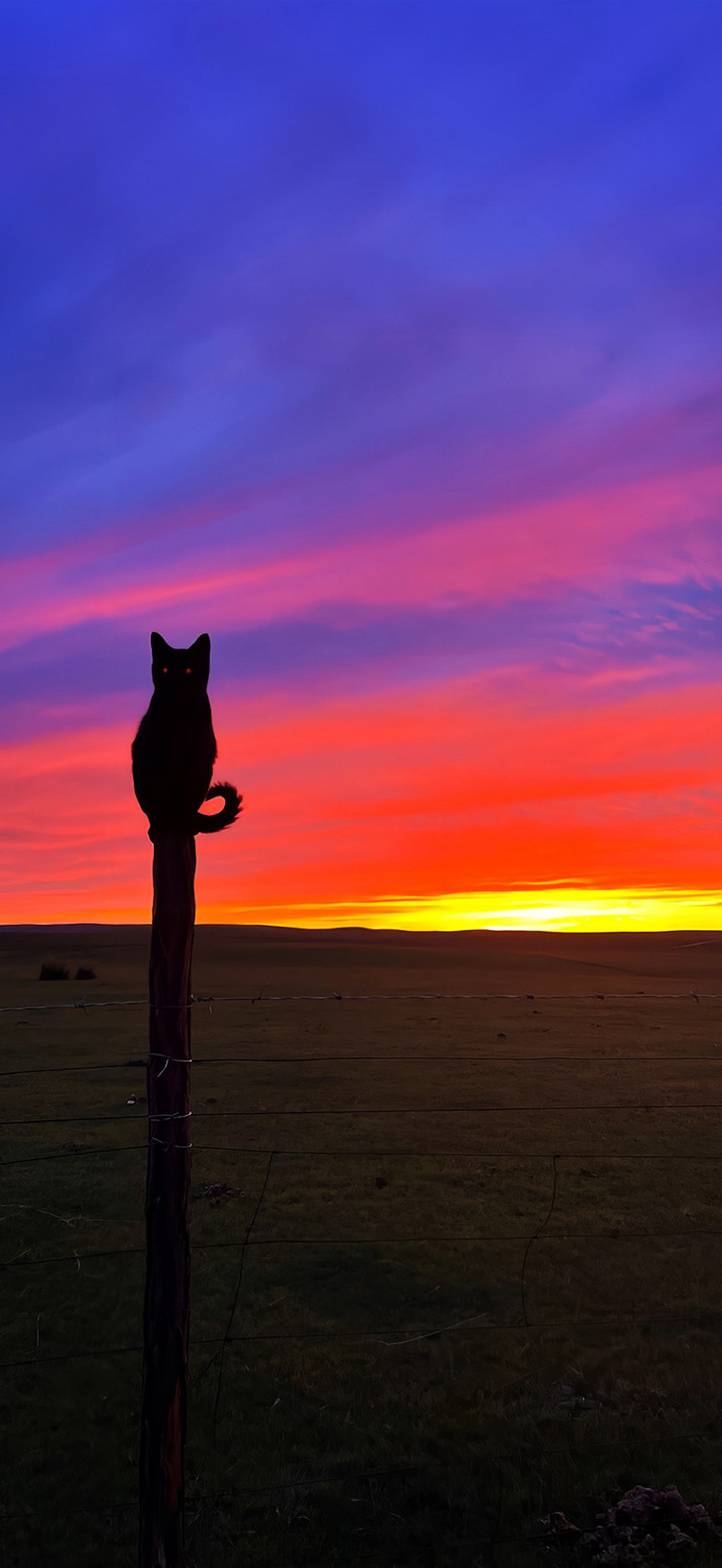 超Nice的手机壁纸～ 