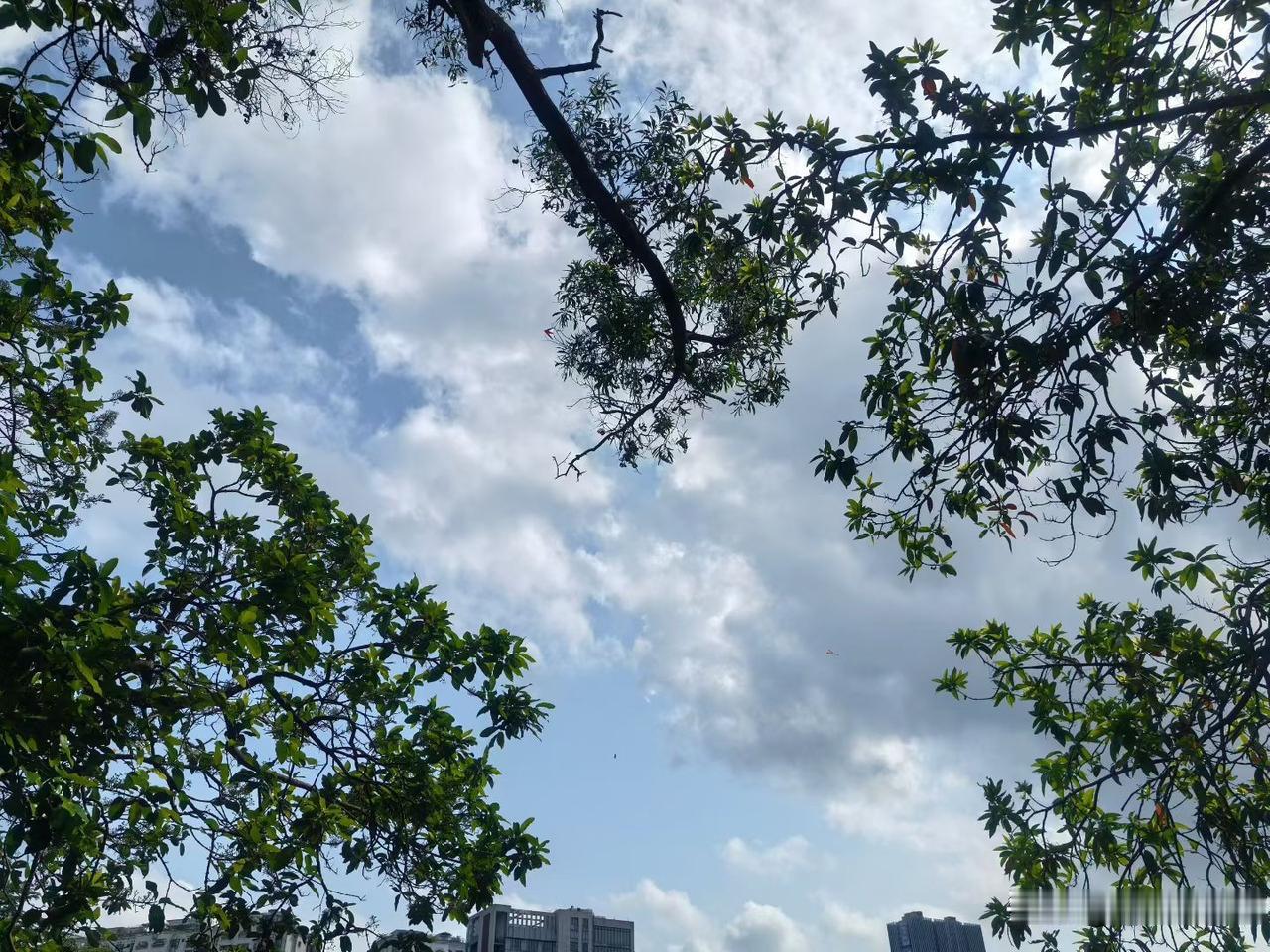 关于幸福，我的10条“歪理”
 
1. 幸福其实并不是活成别人羡慕的样子，而是自