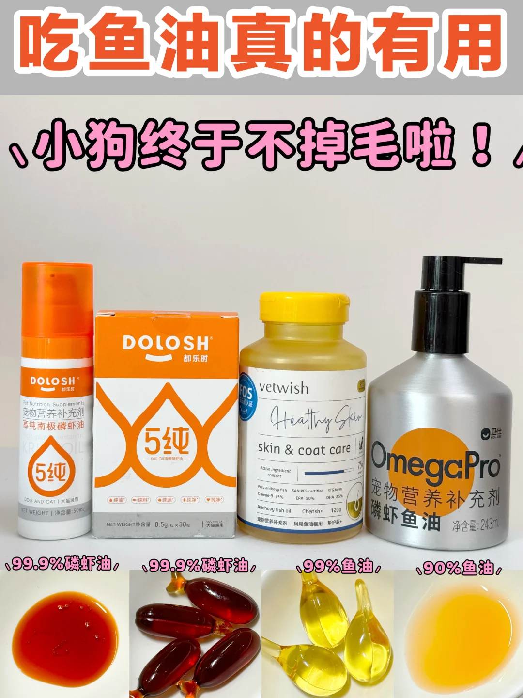 狗狗掉毛严重？吃鱼油真的可以救！📈