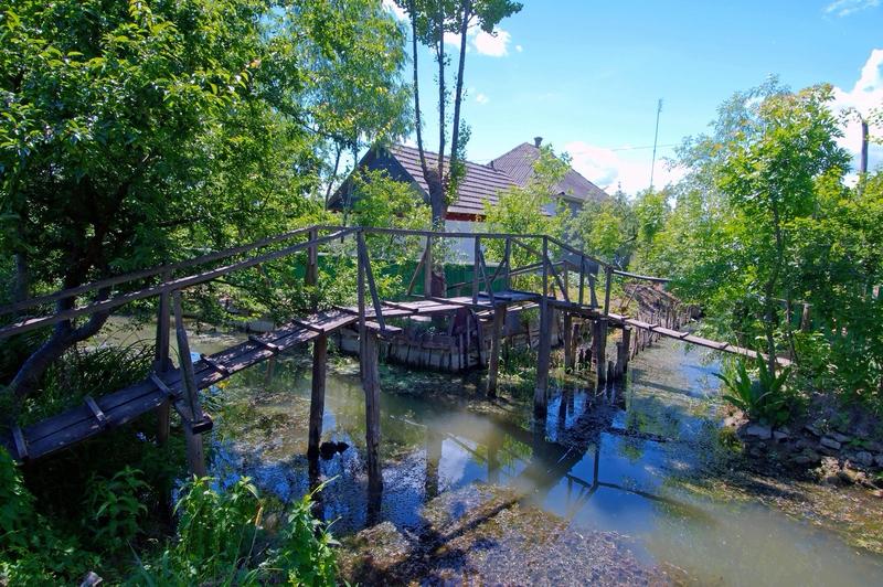 网上老说乌克兰美女偏爱中国男人，这说法还挺吸睛。其实跨国婚姻可没那么简单，不是看