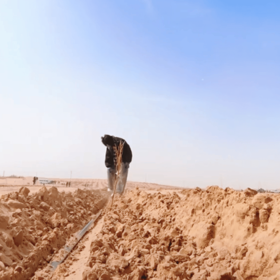 卓沅的vlog 有时候真的会被卓沅身上鲜活饱满的生命力狠狠打动！！看他的vlog