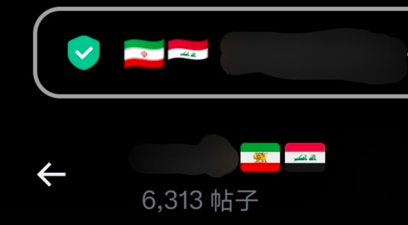 X这个国旗显示何意味 为什么我的网页显示的是IRI旗但是X主页显示的是巴列维旗