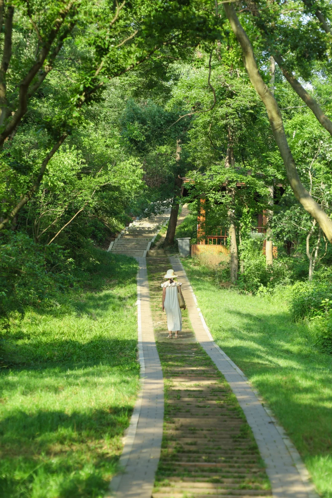 武汉私藏的9个绿野仙踪🌿治好了精神内耗