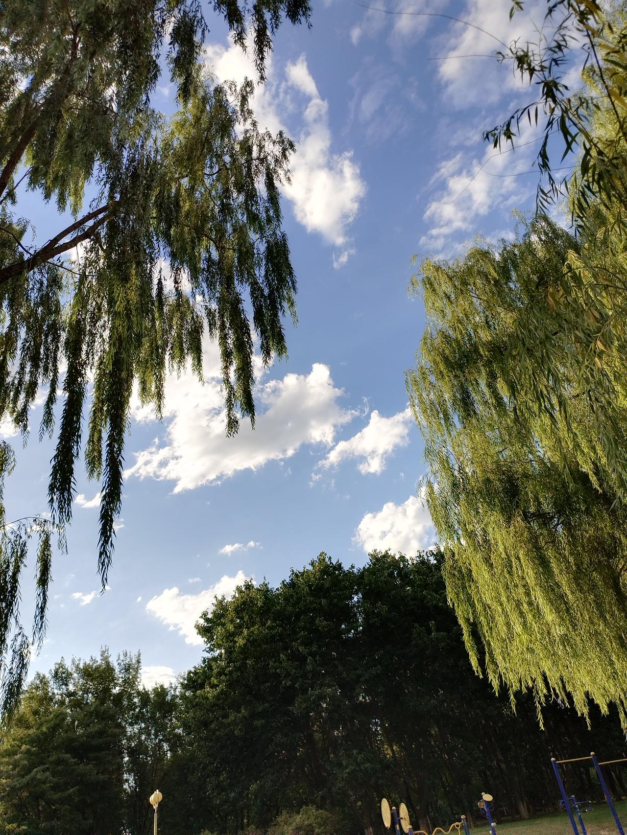 裁员入职月余的学生成导火索，引爆了星宇众多累积的矛盾。
发生这一切的原因是什么？