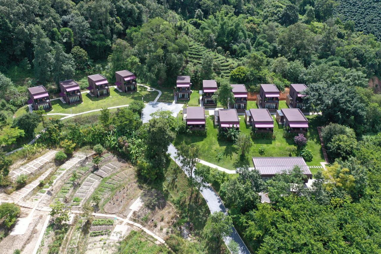 野心，才是强者不断进阶的不竭动力，野蛮生长才是强者由弱变强的最好成长方式。人生的