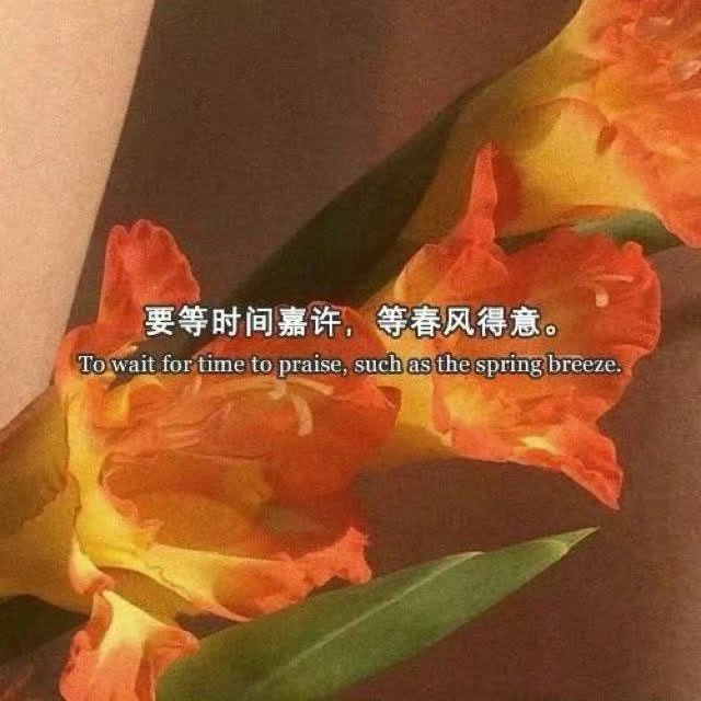 富兰克林曾说过:“对于不知足的人，没有一把椅子是舒服的。”