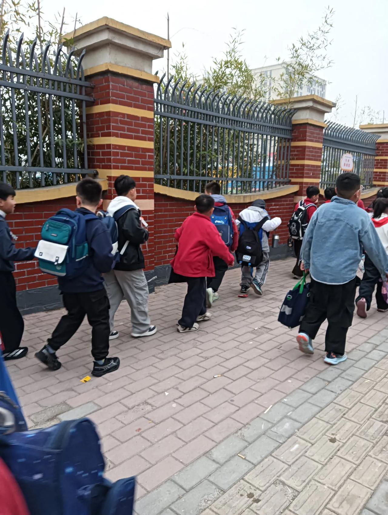 又到接娃娃的时间了！