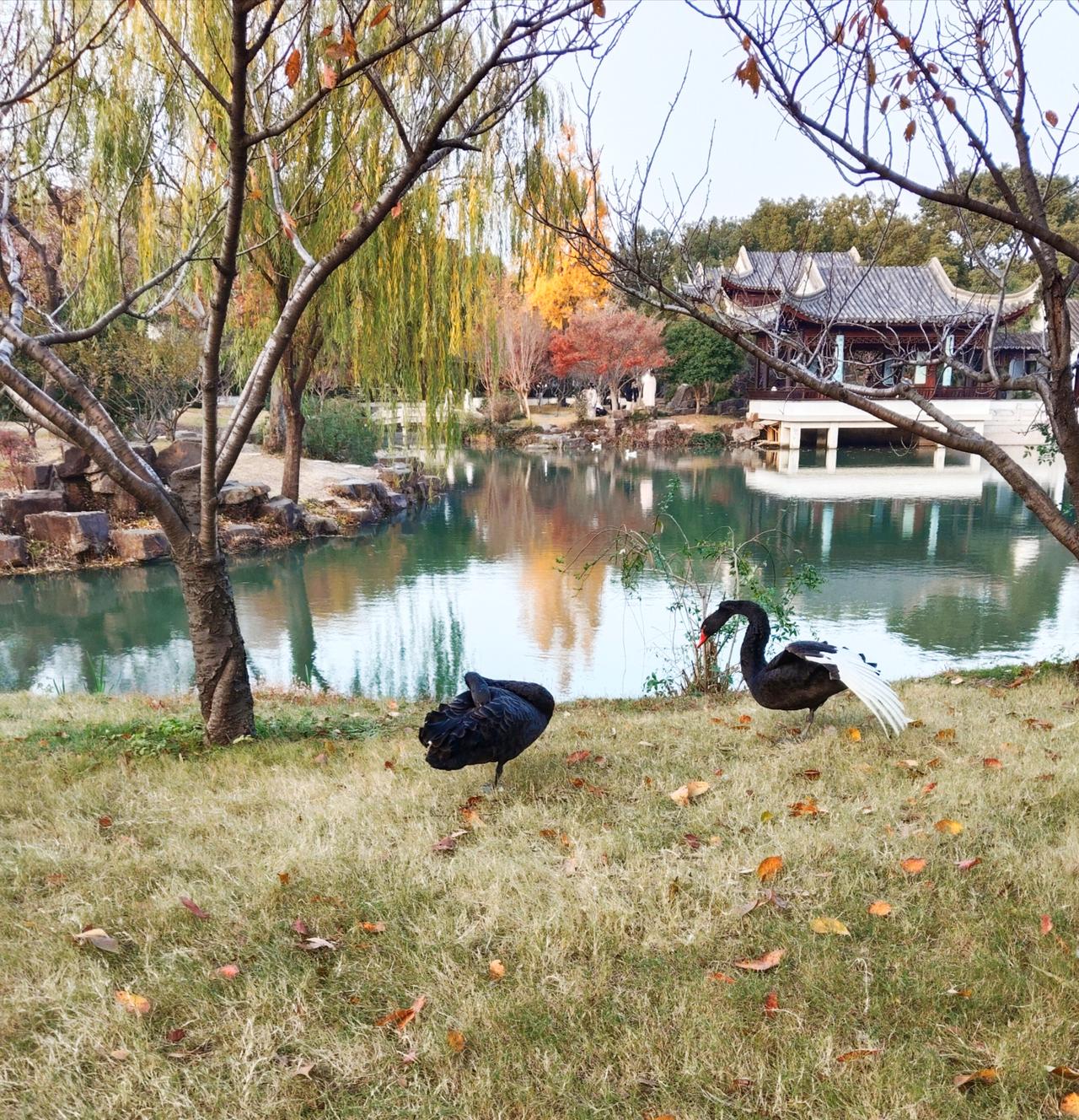 “虾青素：这个海底宝藏，竟然能让你变得更健康！快来看看它的神奇魔力”


嘿，朋