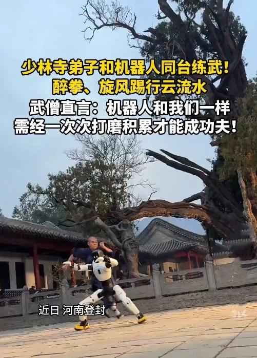 我的天！少林寺的武僧居然跟机器人练上了！最后那下摸头，暖得人鼻子都有点酸！
 