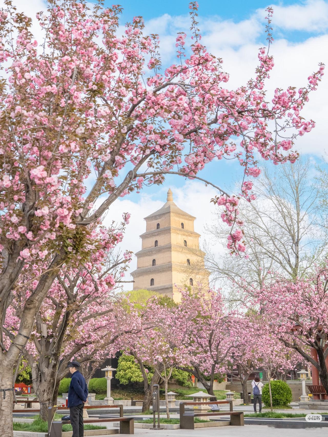 春天的西安，是万万次的春和景明

春风一吹，西安便成了长安
有了千万种温柔的模样