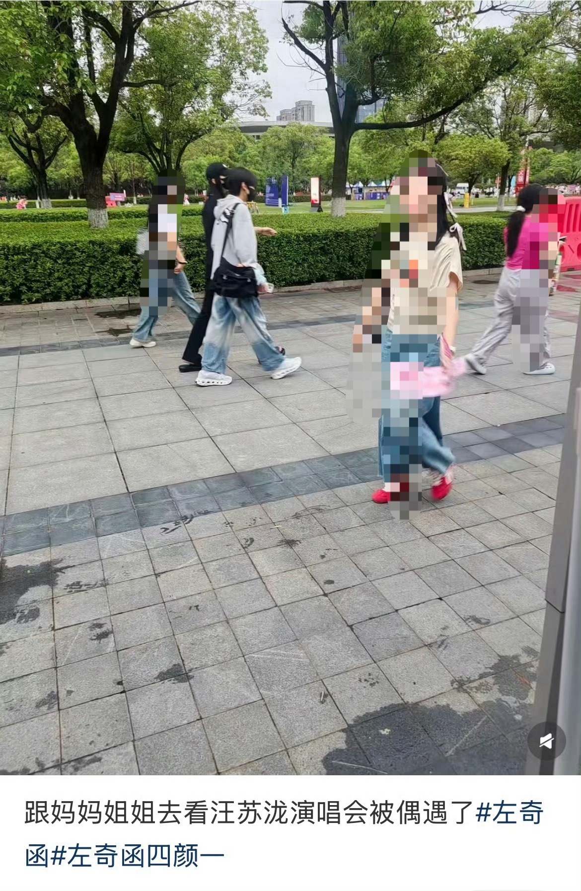 投网友偶遇左奇函和家人去汪苏泷演唱会 