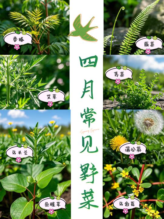 4月野菜来了>3<