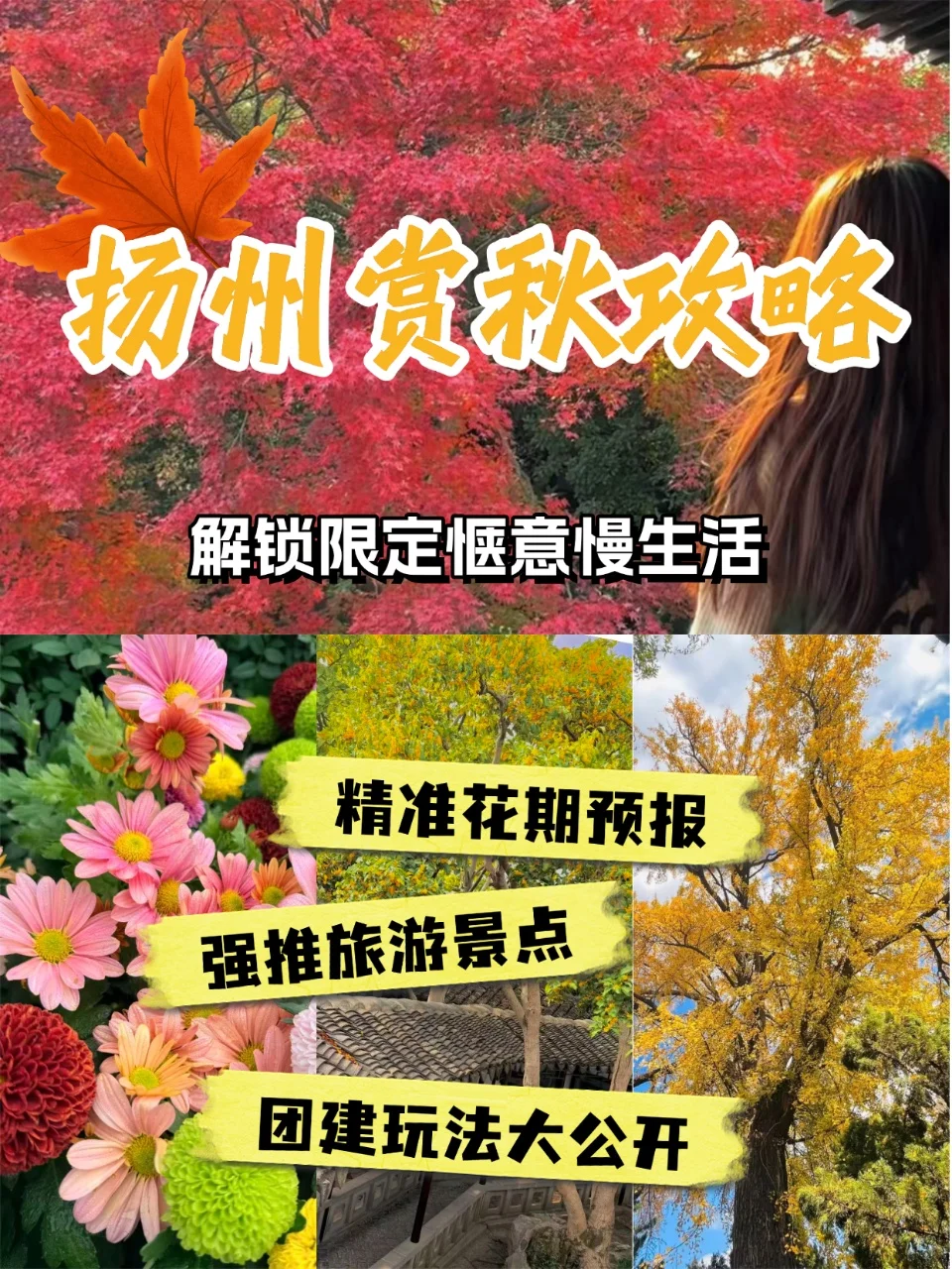 扬州赏秋全攻略｜私藏机位+团建玩法全公开