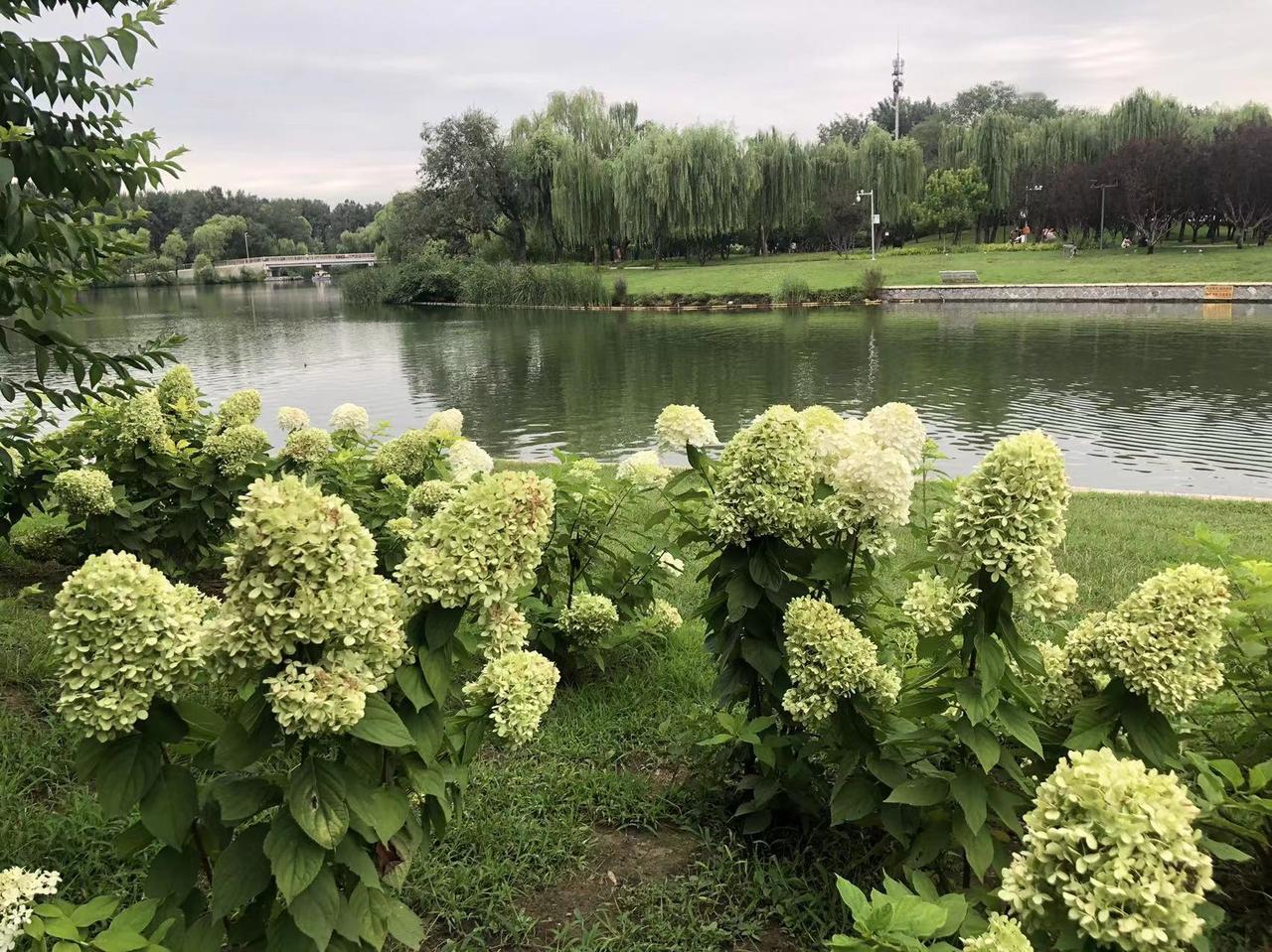 下联 看到“有树有花有鸟语”这个上联，一下子就感觉进入了一个充满生机的自然世界。