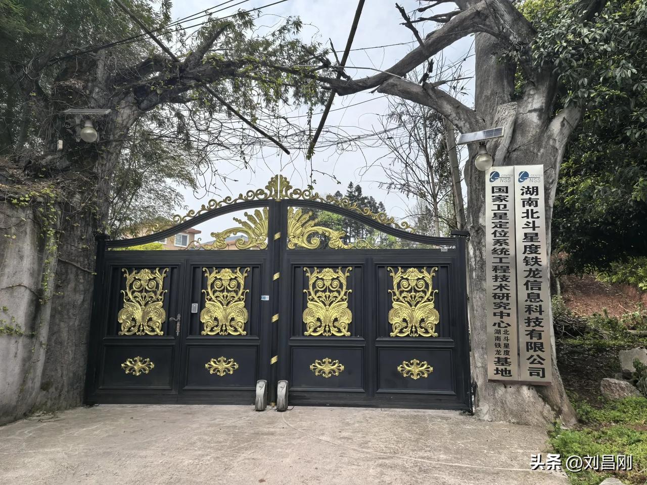 武陵春·题怀化晓军庄园
（2025年3月31日）
谁遣东君裁锦色，樱雨叩朱门。红