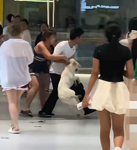 商场跟风打造宠物友好，却只管宣传不管管理，长沙这起冲突暴露了太多问题。女子不带牵