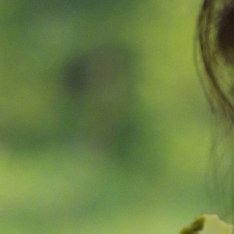 angelababy angelababy 你是我荒芜心田里的一抹月光，温柔了每