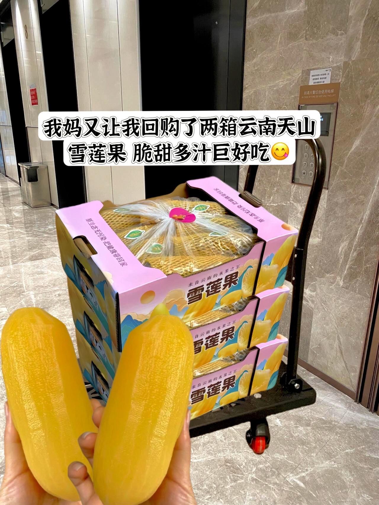 家人们，今年刚出土的头茬天山雪莲果来了！入口脆甜多汁，外表看着像红薯...