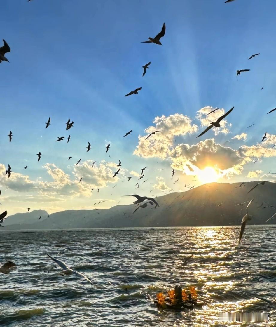 现在人到中年才发现的一个现实，
那就是人一定要学一门技术，
如果没有一门技术傍身