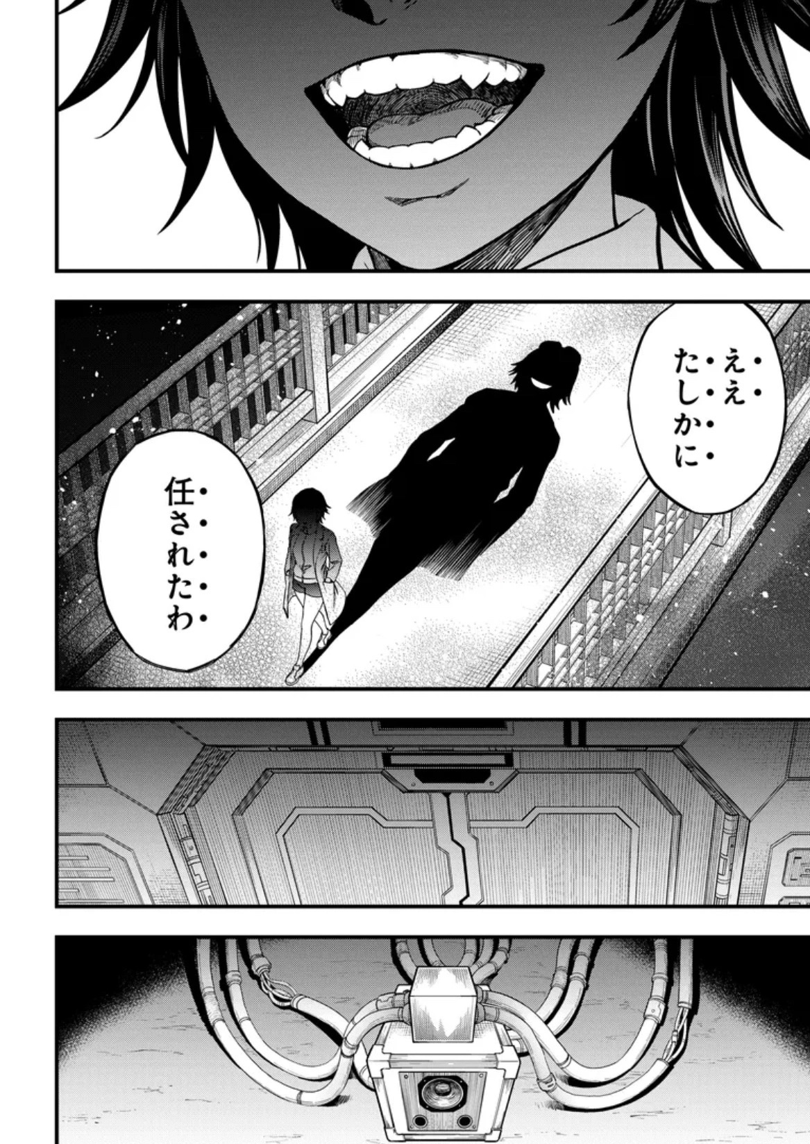 本月科心，人外魔境常盘台 