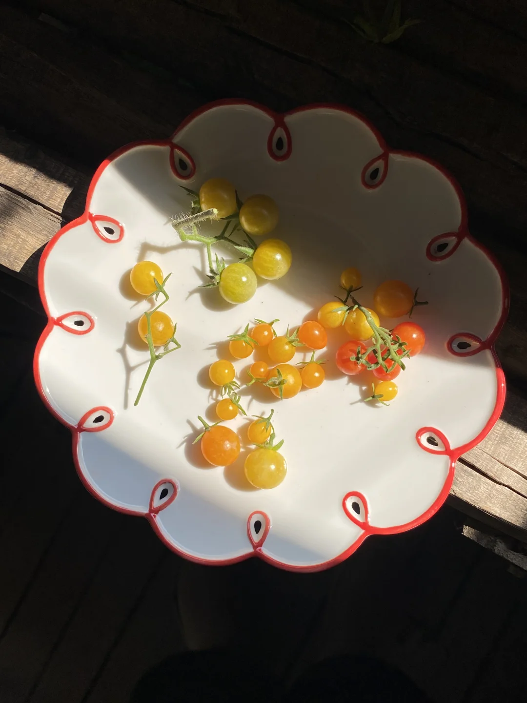我种的番茄好像微缩食玩🍽️🍅