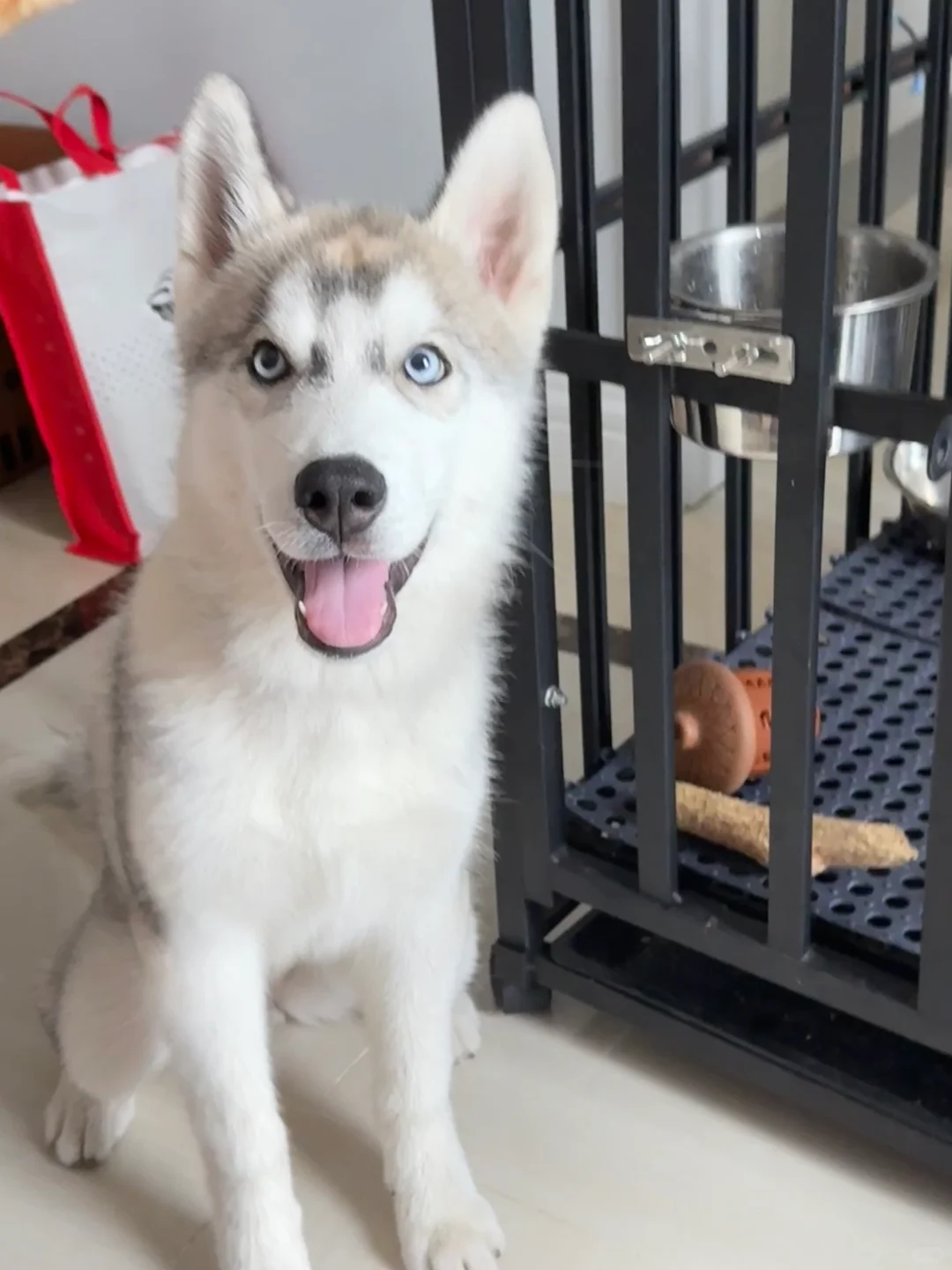 小宝你在看什么